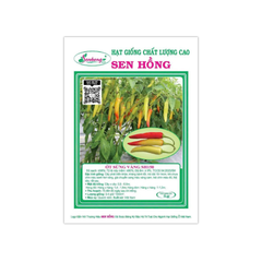 Hạt giống Ớt Sừng Vàng Sen Hồng SH150
