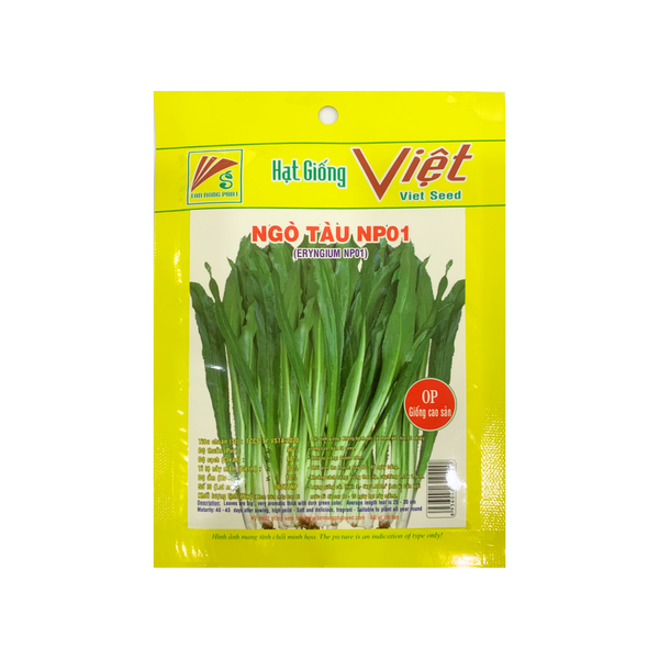 Hạt giống Ngò Tàu NP01 — Hạt giống Andovina