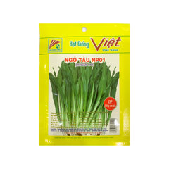 Hạt giống Ngò Tàu NP01