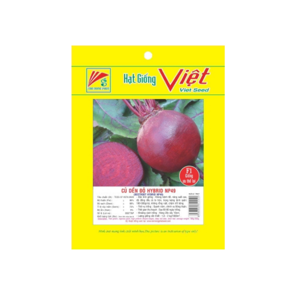 Hạt giống Củ Dền Đỏ - Hydrib NP49 — Hạt giống Andovina
