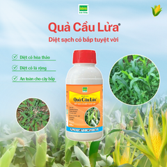 Quả Cầu Lửa ® 450ml