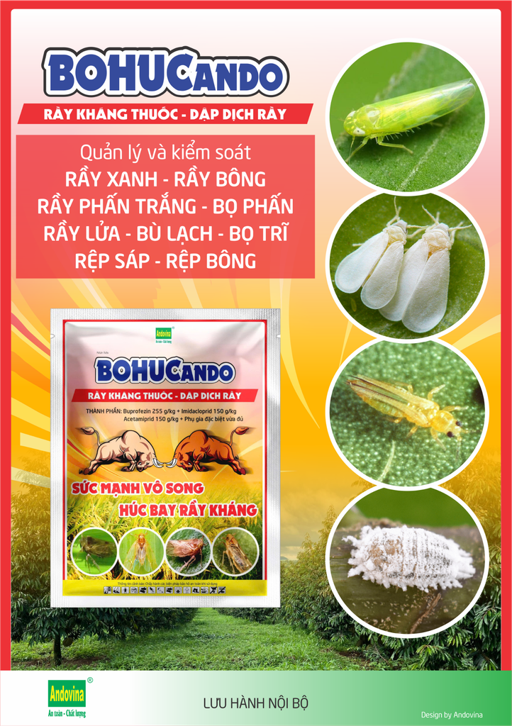 BoHucAndo 100g - Bò Húc