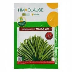 Hạt giống Đậu cove Massa 224 - Én Vàng