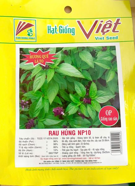 Hạt giống Rau Húng Quế NP10 5gr