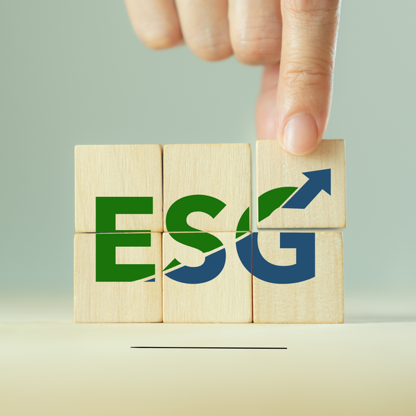  Gỡ rối Tiêu chuẩn ESG cho doanh nghiệp 