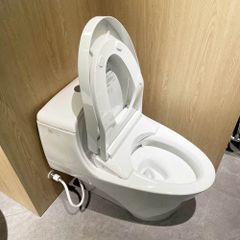 Bồn cầu nắp rửa điện tử TOTO MS823CDRW12