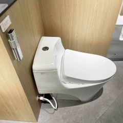 Bồn cầu nắp rửa điện tử TOTO MS823CDRW12