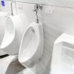 Bồn tiểu nam TOTO UT904HN (Đường cấp nước phía sau)