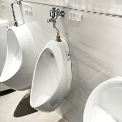 Bồn tiểu nam TOTO UT904N