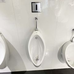 Bồn tiểu nam TOTO UT904R