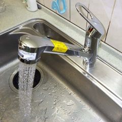 Vòi rửa bát TOTO TKGG32EBS nóng lạnh