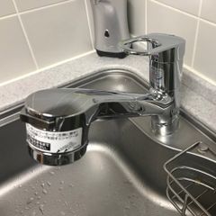 Vòi rửa bát TOTO TKGG32EBS nóng lạnh