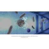  [BÌNH TÂN] Tủ Lạnh Panasonic Inverter NR-BV281BGMV 255L 