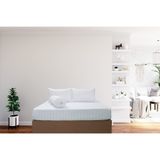  [BÌNH TÂN] Tấm Drap Và Áo Gối Sọc Màu Mym 160x200cm/ 180x200cm 