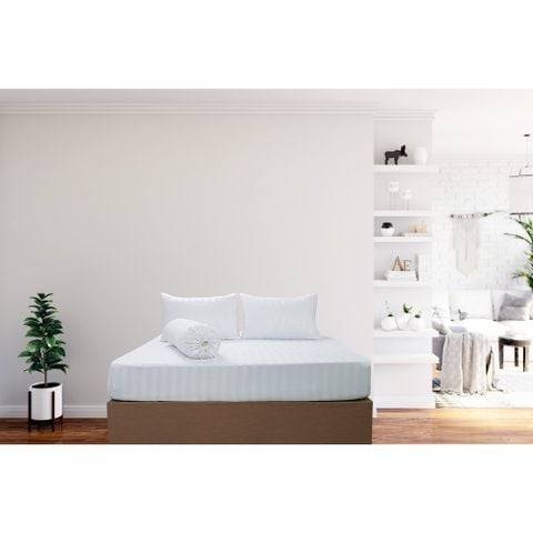 [BÌNH TÂN] Tấm Drap Và Áo Gối Sọc Màu Mym 160x200cm/ 180x200cm