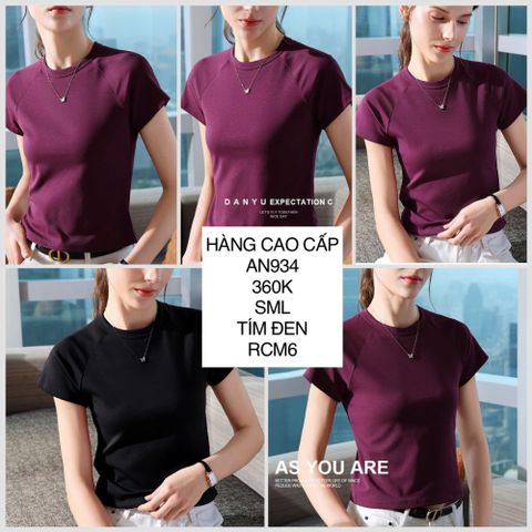  Áo thun viền tay AN934 