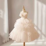  P25_135. Đầm Dạ Hội Đính Hoa Trắng 