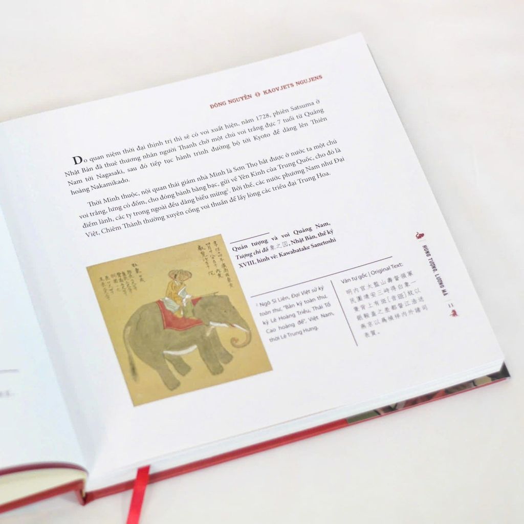 [Ấn bản đặc biệt 34] Hùng tượng, lương mã: Những câu chuyện về kỵ binh, tượng binh trong lịch sử Việt Nam