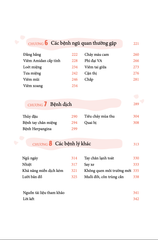 Bé khoẻ lại ngay, đánh bay bệnh vặt