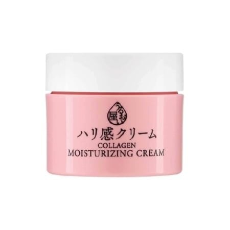 Kem Dưỡng Da Naris Cosmetics Collagen Ngăn Ngừa Lão Hóa 48g Moisturizing Cream