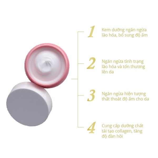 Kem Dưỡng Da Naris Cosmetics Collagen Ngăn Ngừa Lão Hóa 48g Moisturizing Cream