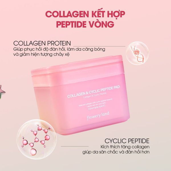 Toner Pad Collagen & Peptide FLOWERY LAND 170g Tăng Đàn Hồi Da Trẻ Hóa & Phục Hồi Da Cấp Ẩm Sâu nâng cơ vùng cằm