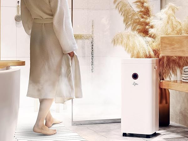 Máy hút ẩm Suntec Wellness DryFix 20