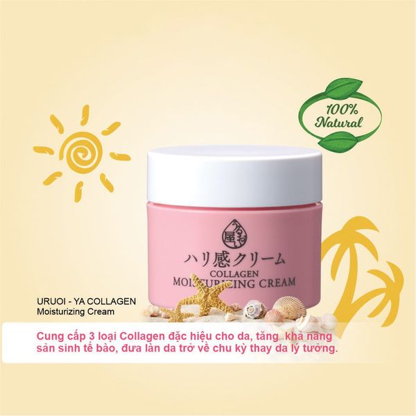 Kem Dưỡng Da Naris Cosmetics Collagen Ngăn Ngừa Lão Hóa 48g Moisturizing Cream