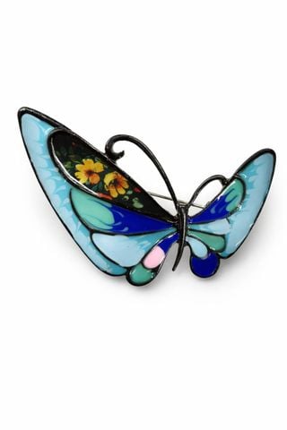 Cái Áo Hình Cánh Bướm Xanh Dương