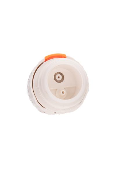 Bình giữ nhiệt Capybara