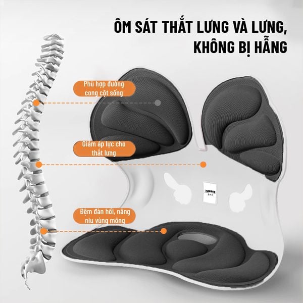 Ghế Chỉnh Dáng Ngồi Cánh Bướm Công Thái Học