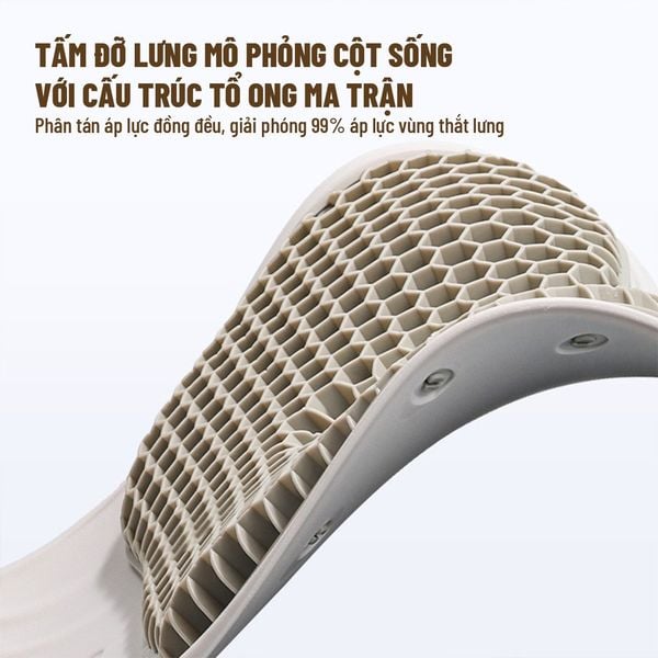 Ghế Chỉnh Dáng Ngồi Công Thái Học CP-GL