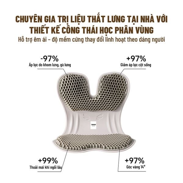 Ghế Chỉnh Dáng Ngồi Công Thái Học CP-GL
