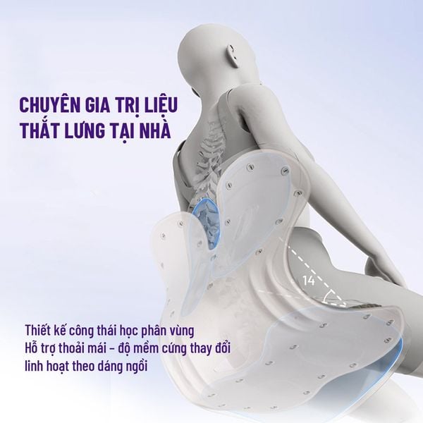 Ghế Chỉnh Dáng Ngồi Công Thái Học CP-GL