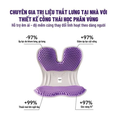 Ghế Chỉnh Dáng Ngồi Công Thái Học CP-GL
