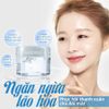 Gel Dưỡng Mắt Naris Cosmetics Ngừa Thâm & Nếp Nhăn 20g Wrinkle Plus Eye Care Gel