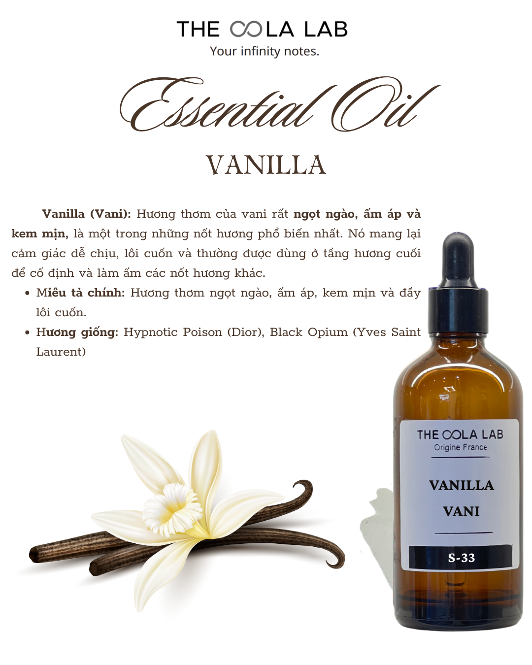  Tinh Chất đơn Vanilla 