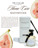  Reed Diffuser 