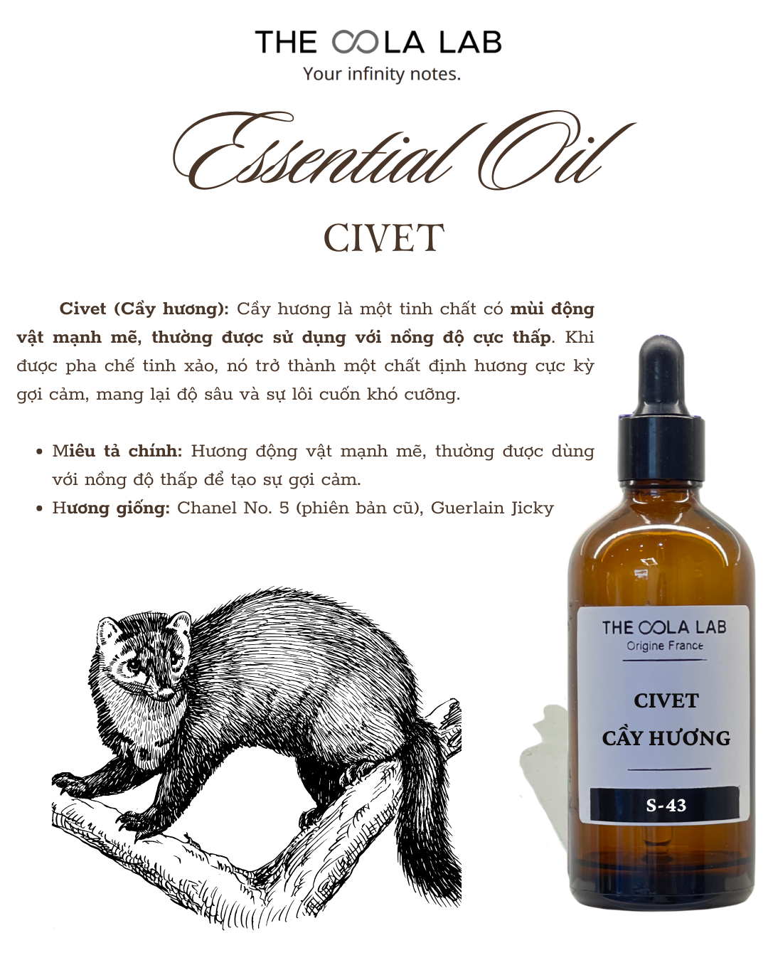  Tinh Chất đơn Civet (Cầy hương) 
