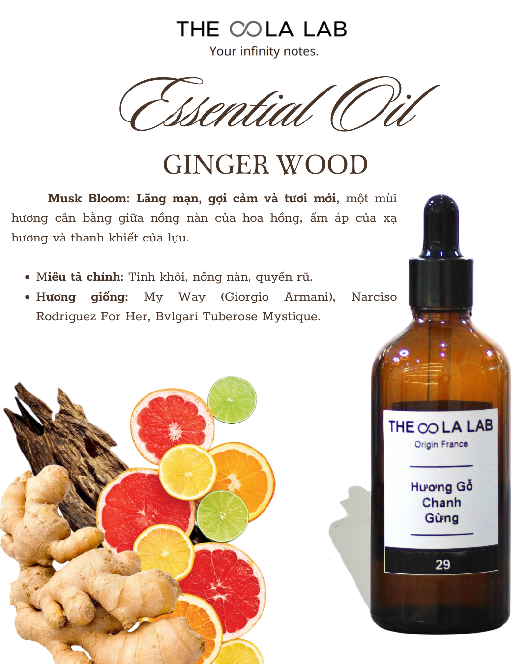  Tinh Chất đa Ginger Wood 