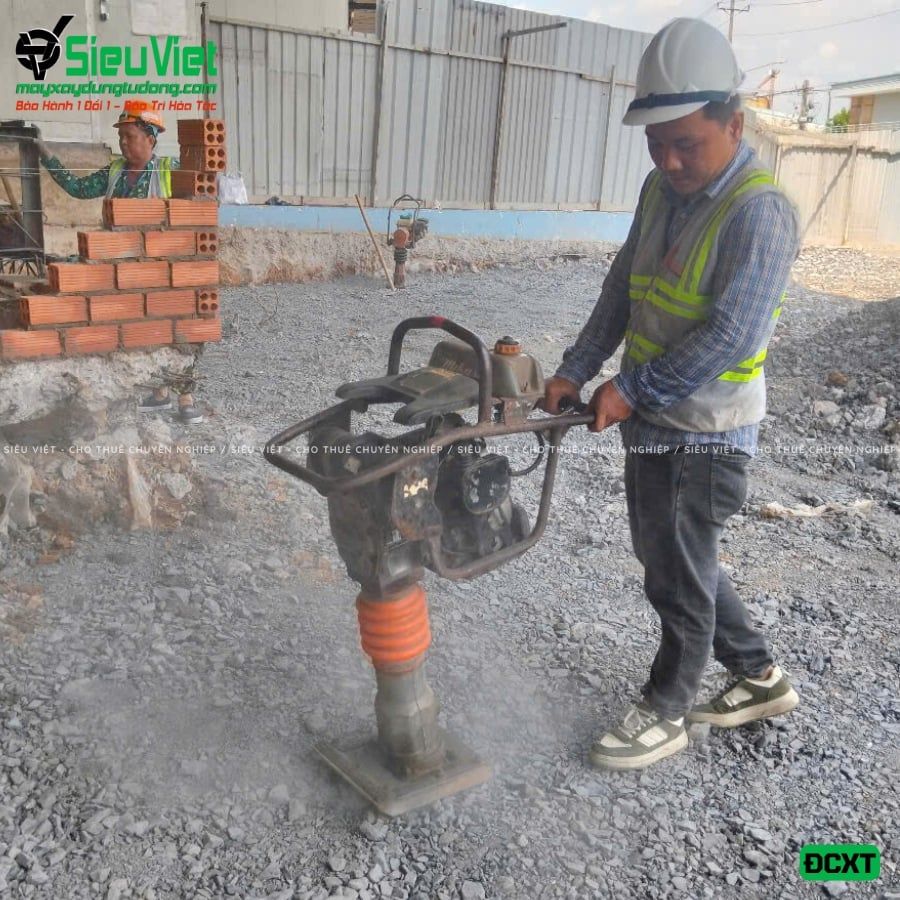 Thuê Tháng Máy đầm cóc DC6 55-65kg (Xăng)