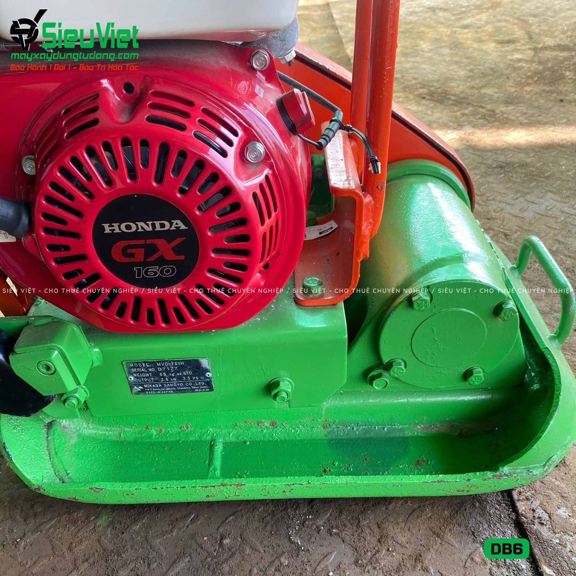 Thuê Ngày Máy đầm bàn DB6 50-70Kg (Xăng)