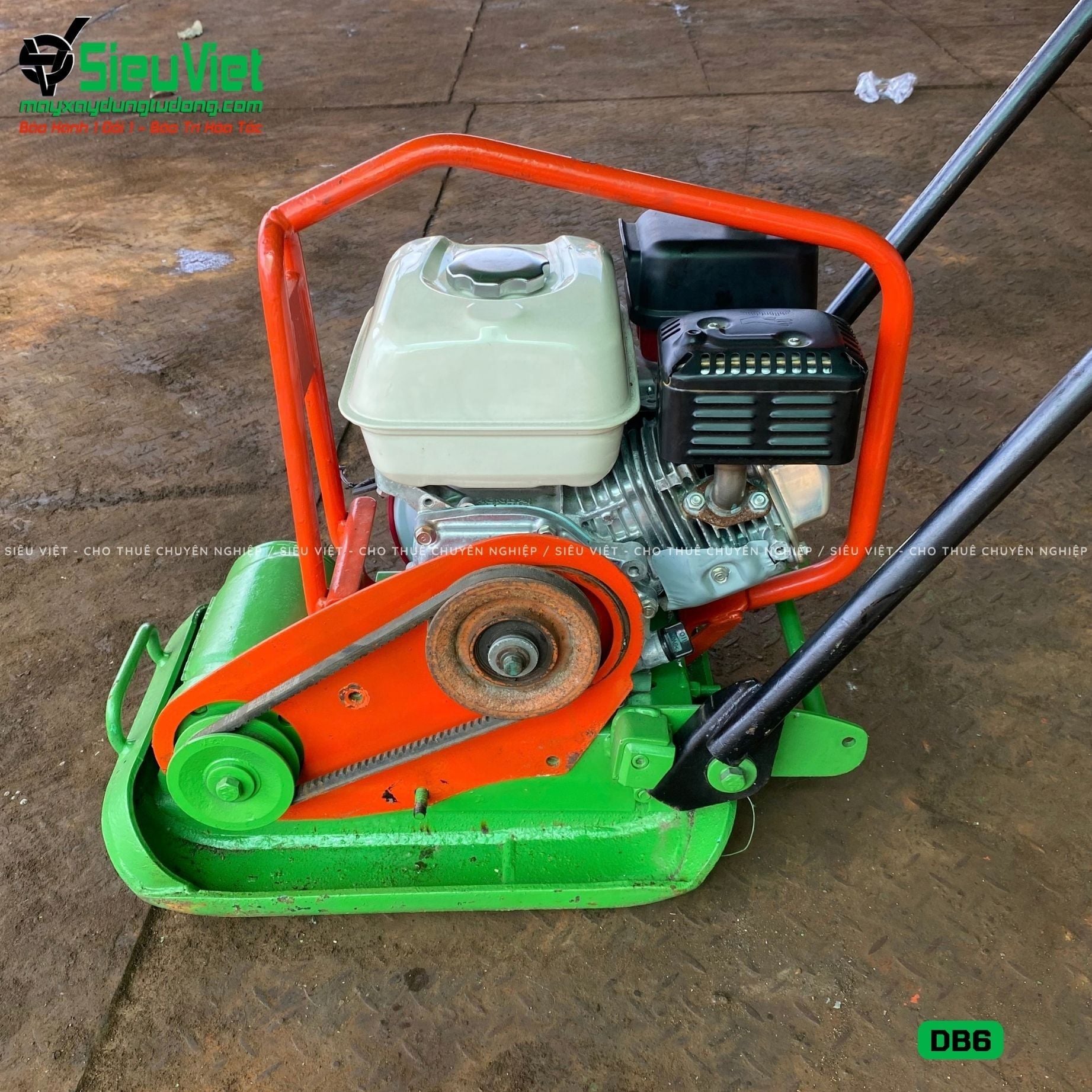 Thuê Ngày Máy đầm bàn DB6 50-70Kg (Xăng)