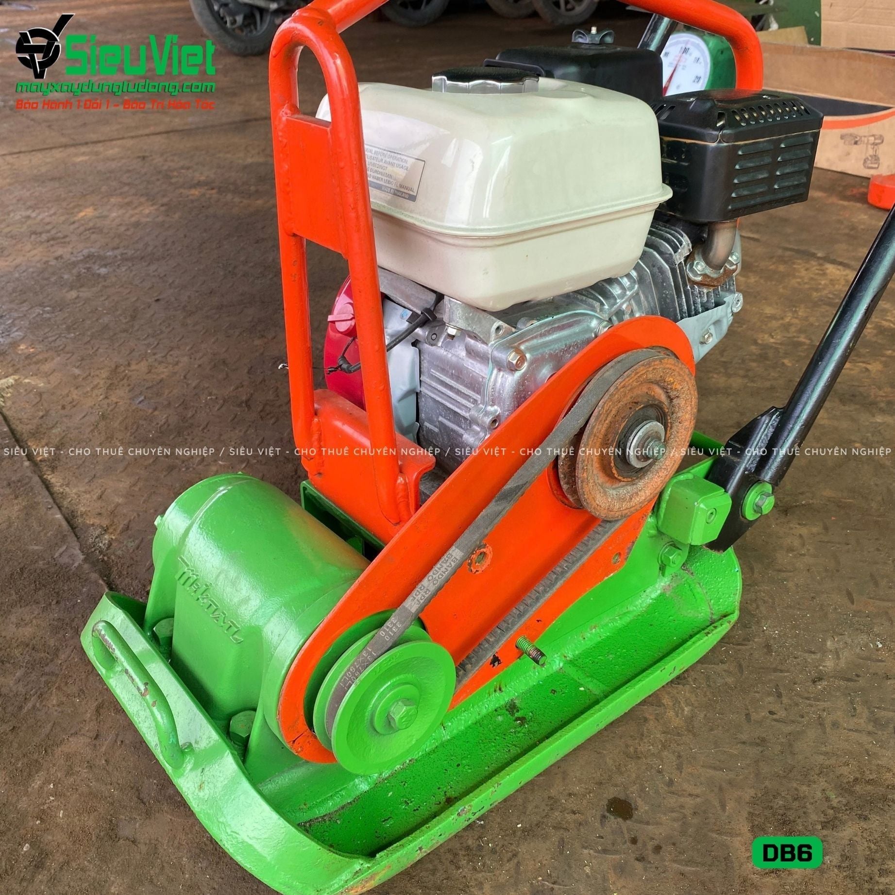 Thuê Tháng Máy đầm bàn DB6 50-70Kg (Xăng)