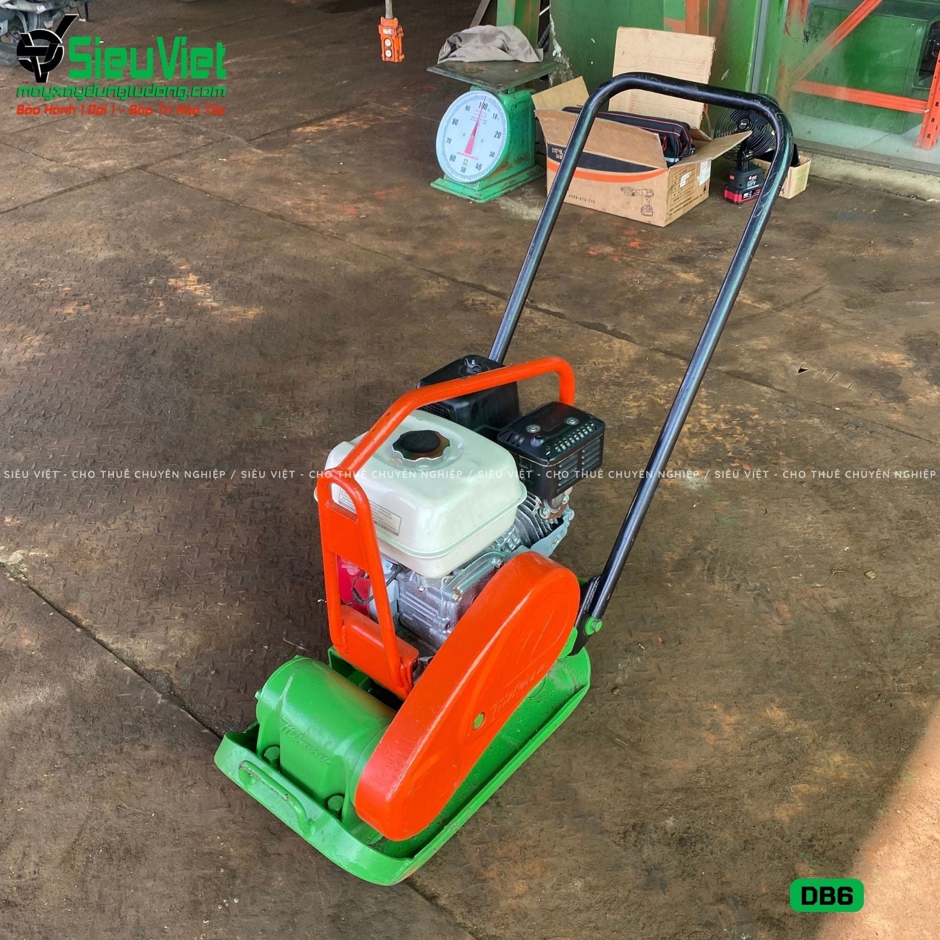 Thuê Ngày Máy đầm bàn DB6 50-70Kg (Xăng)