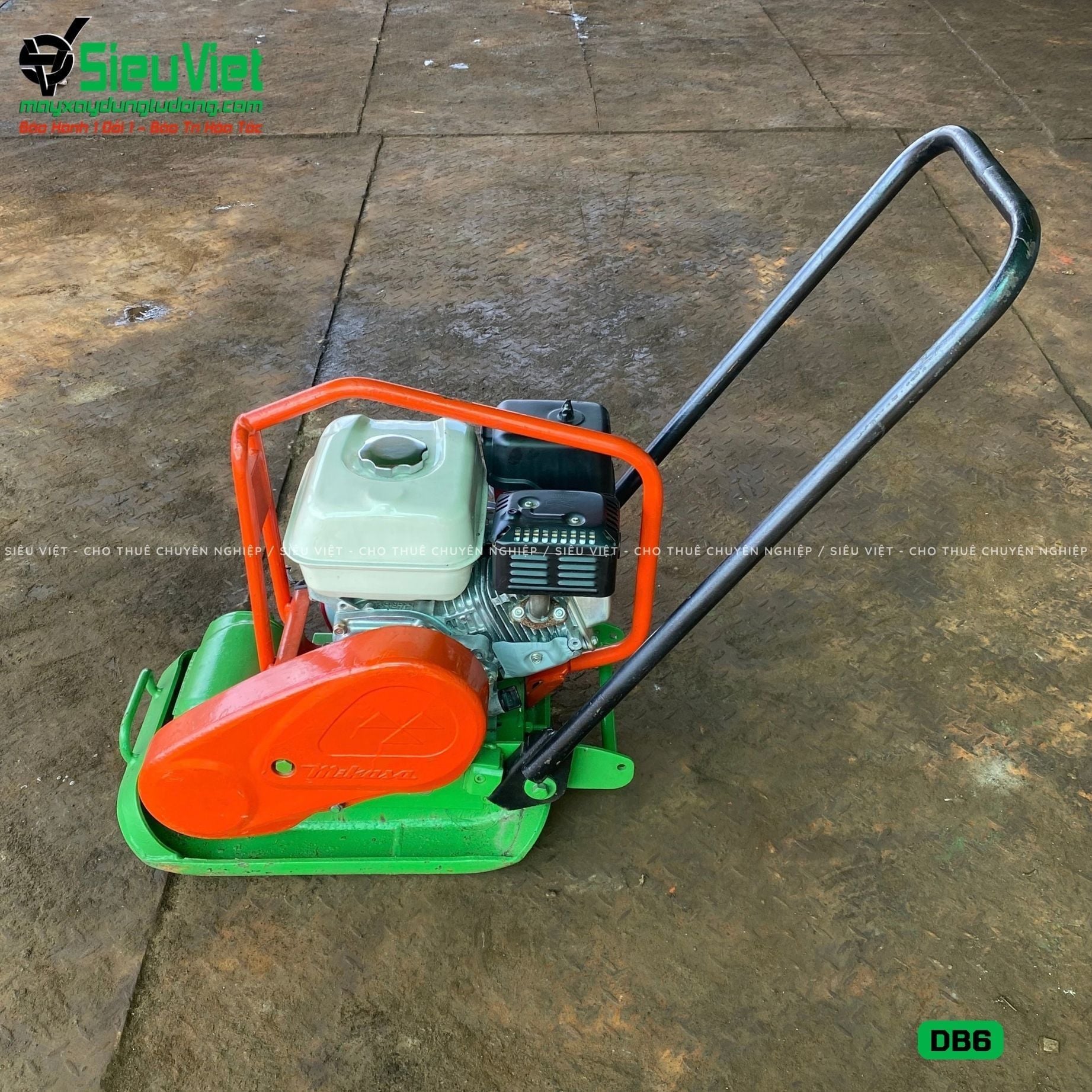 Thuê Ngày Máy đầm bàn DB6 50-70Kg (Xăng)