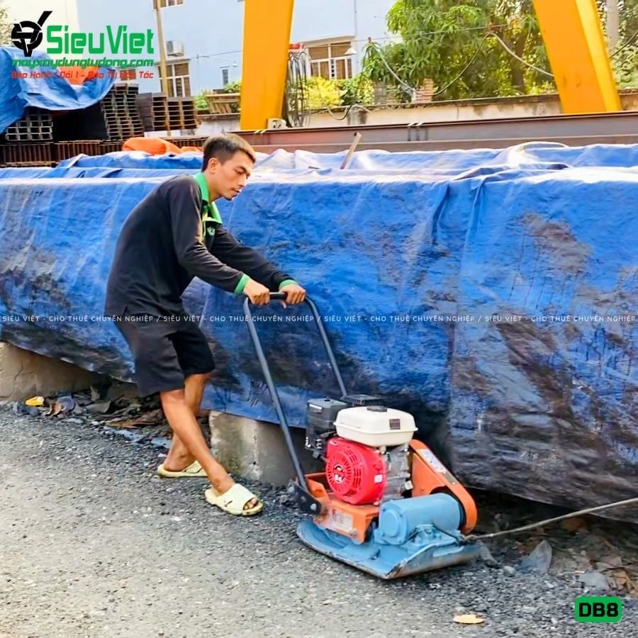 Thuê Tháng Máy đầm bàn DB8 75-100Kg (Xăng)