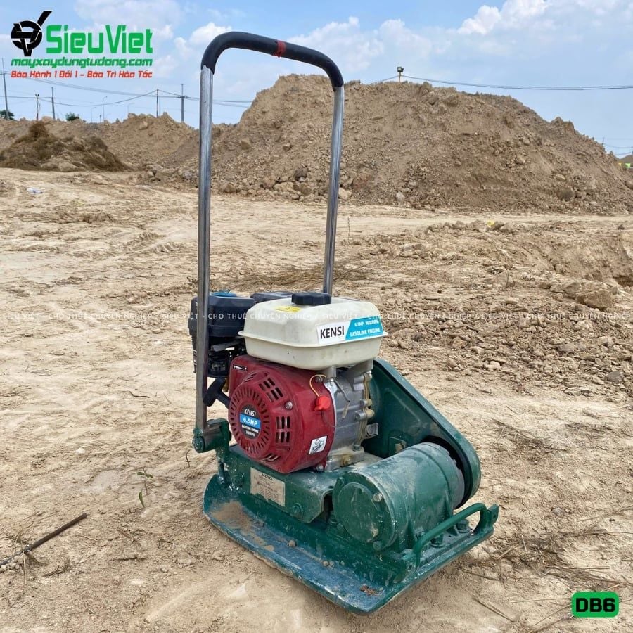 Thuê Ngày Máy đầm bàn DB6 50-70Kg (Xăng)
