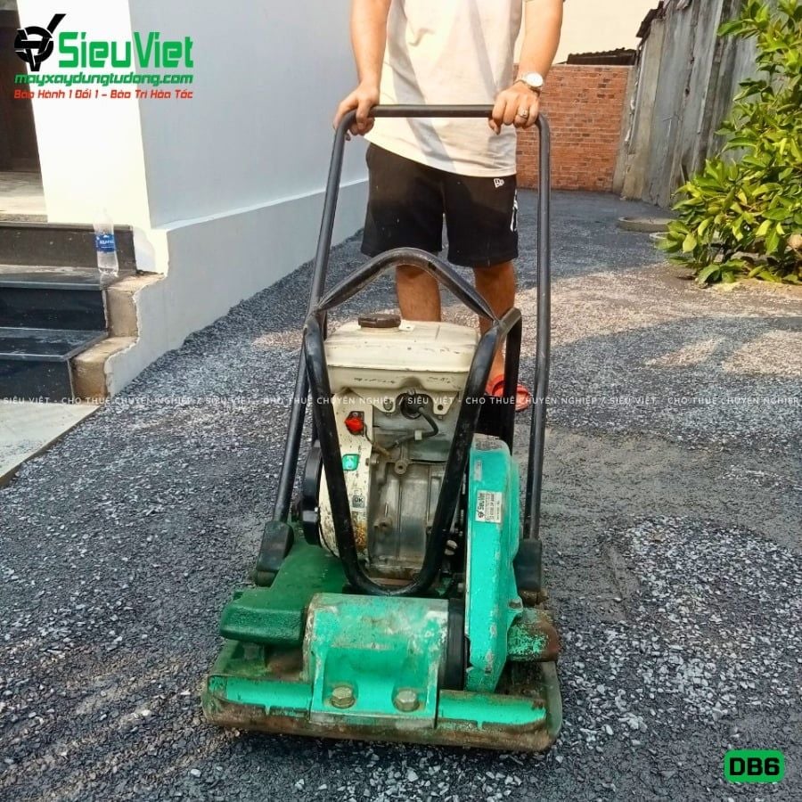 Thuê Ngày Máy đầm bàn DB6 50-70Kg (Xăng)