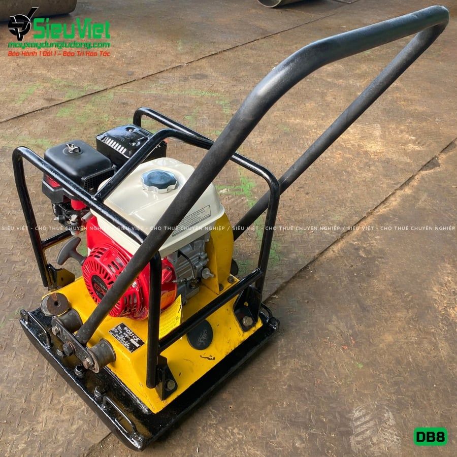 Thuê Ngày Máy đầm bàn DB8 75-100Kg (Xăng)